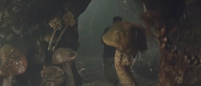 蘑菇人玛坦戈剧照的剧照