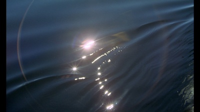 大移民剧照的剧照