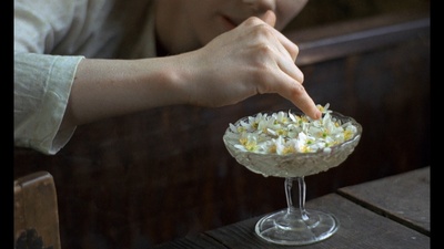 大移民剧照的剧照