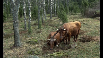 大移民剧照的剧照