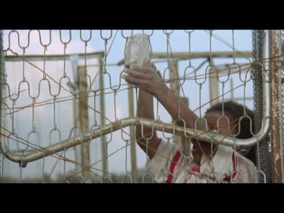 丑陋的罗马人剧照的剧照