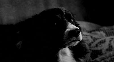 死期将至剧照的剧照