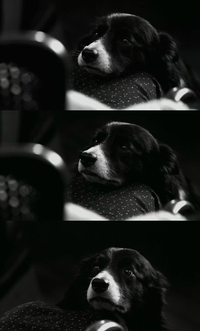 死期将至剧照的剧照