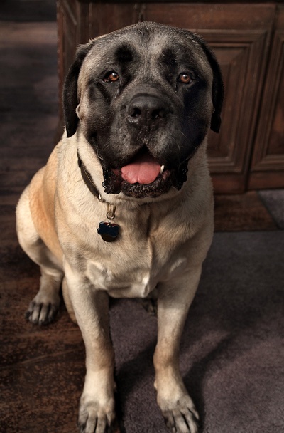 变形金刚3剧照的剧照