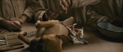 无知无觉剧照的剧照