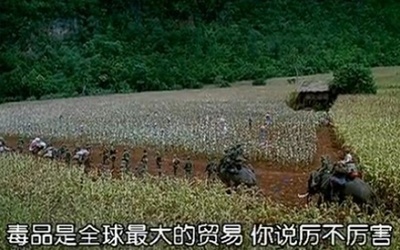 门徒剧照的剧照