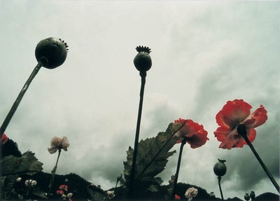 门徒剧照的剧照