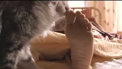 甜蜜十一月剧照的剧照