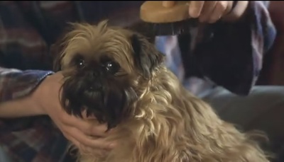 甜蜜十一月剧照的剧照