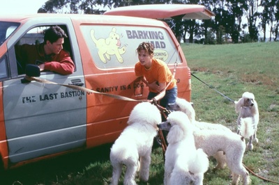 甜蜜十一月剧照的剧照