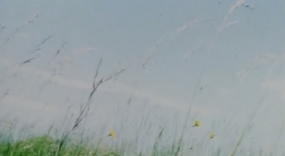 白痴剧照的剧照