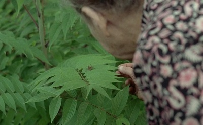 拉孔布·吕西安剧照的剧照