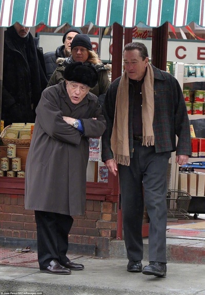 爱尔兰人剧照的剧照