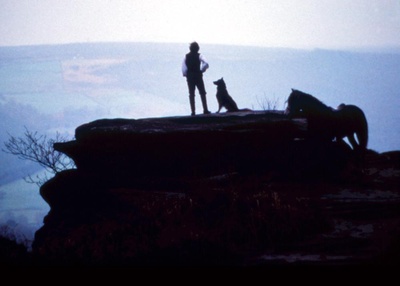 简爱剧照的剧照