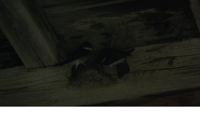 楢山节考剧照的剧照