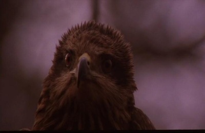 楢山节考剧照的剧照