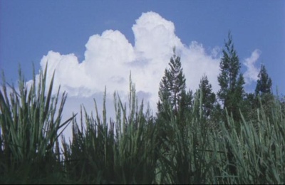 楢山节考剧照的剧照