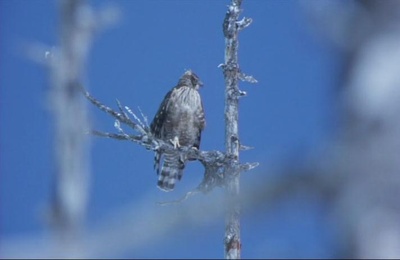 楢山节考剧照的剧照