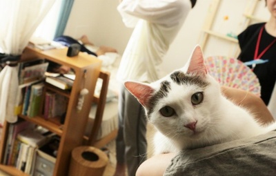 夜以继日剧照的剧照