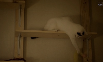 夜以继日剧照的剧照