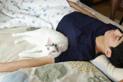 夜以继日剧照的剧照