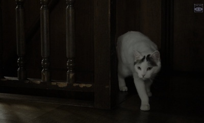 夜以继日剧照的剧照