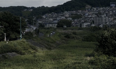 夜以继日剧照的剧照