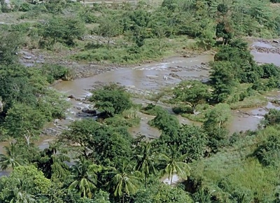 紫色平原剧照的剧照