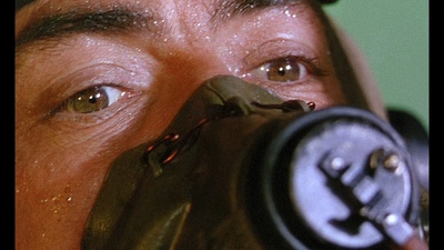 紫色平原剧照的剧照