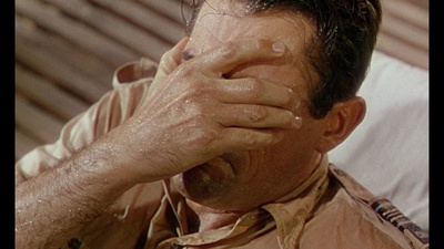 紫色平原剧照的剧照