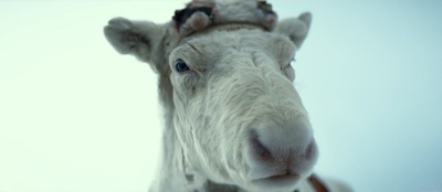 第十二个人剧照的剧照