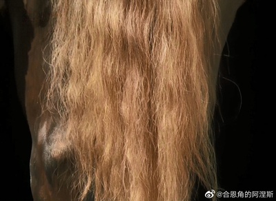 金黄色的回忆剧照的剧照