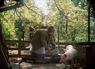 金黄色的回忆剧照的剧照