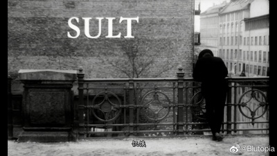 饥饿剧照的剧照