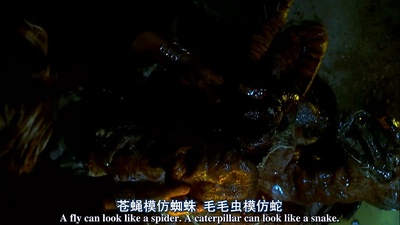 变种DNA剧照的剧照