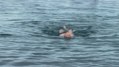 南极洲：末日的世界剧照的剧照