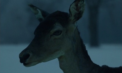 妮娜剧照的剧照