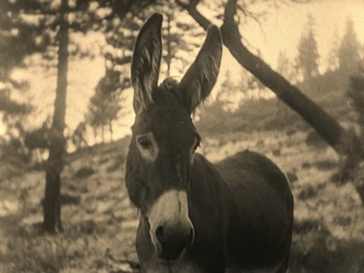 待客之道剧照的剧照