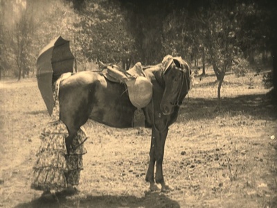 待客之道剧照的剧照