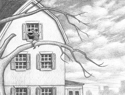 寂静中的惊奇剧照的剧照