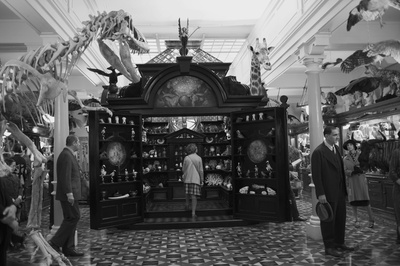 寂静中的惊奇剧照的剧照