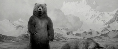 寂静中的惊奇剧照的剧照