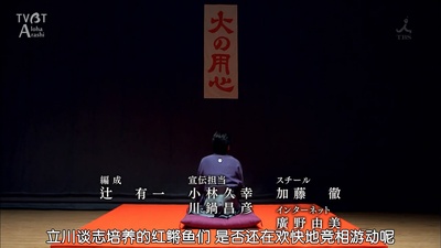 红鳉鱼剧照的剧照