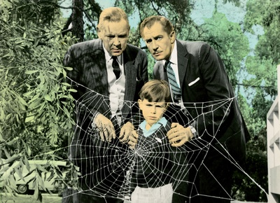 变蝇人剧照的剧照