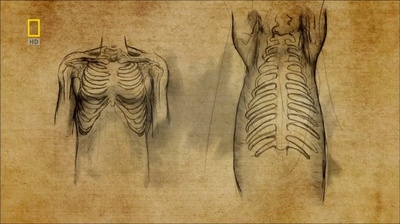 国家地理.动物天才系列：猪剧照的剧照