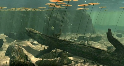 恐龙剧照的剧照