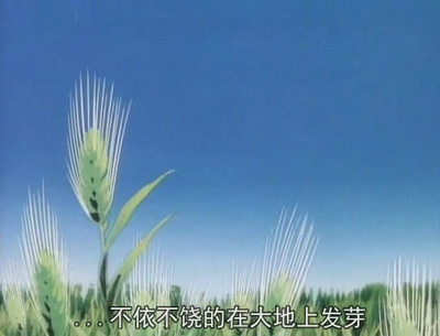 赤足小子剧照的剧照