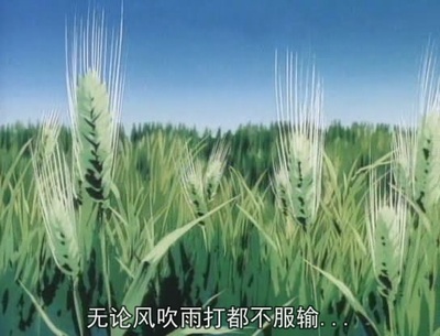 赤足小子剧照的剧照