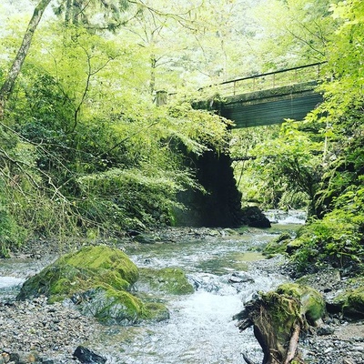 昼颜 电影版剧照的剧照