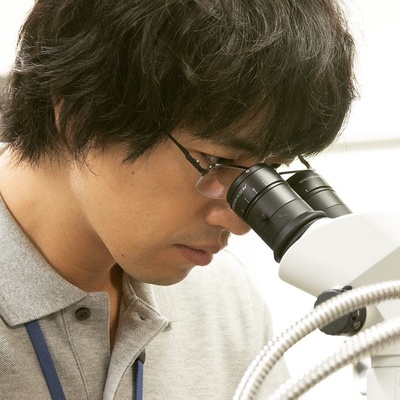 昼颜 电影版剧照的剧照